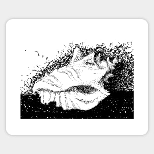 Listen to the sea. Seashell drawing. Sticker